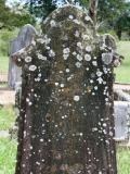image of grave number 783984